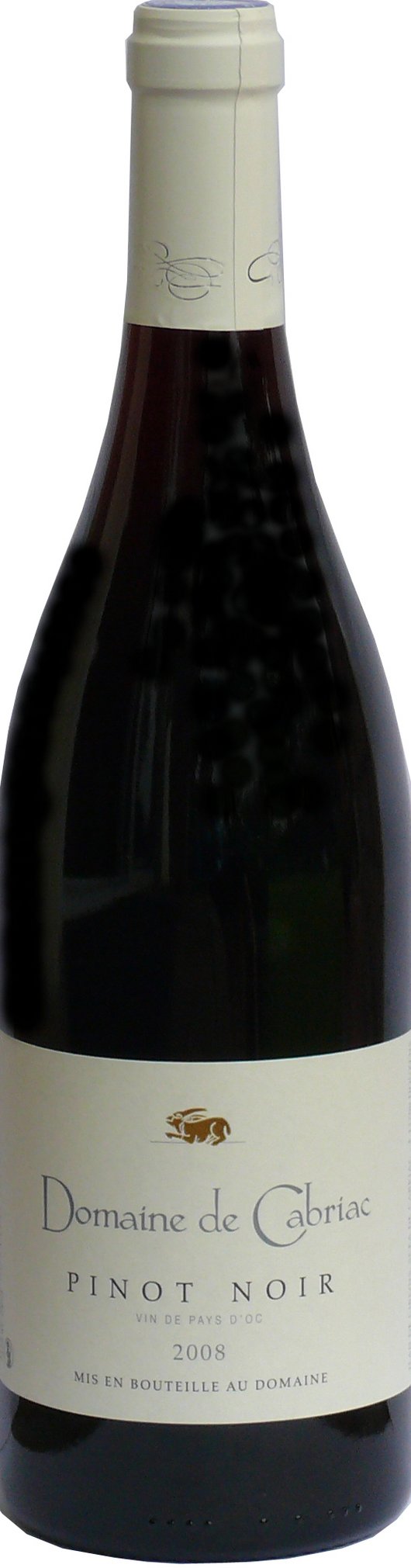 Domaine de Cabriac | Pinot Noir