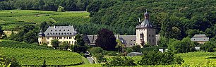 Schloss Vollrads Rheingau Riesling