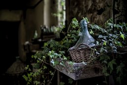 Casa Vinicola Botter | Tor de Colle | Brindisi Riserva