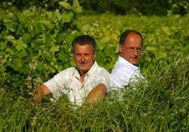 Domaine Pasquiers | Cotes du Rhone | Plan de Dieu | Sablet